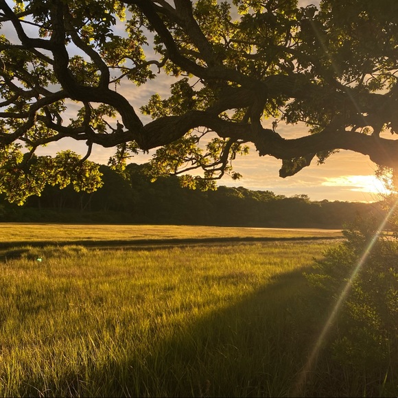 Meet your Posher, Kelly - Picture 1 of 1